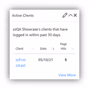 Constellation1 CRM active clients widget showing recent page hits.
